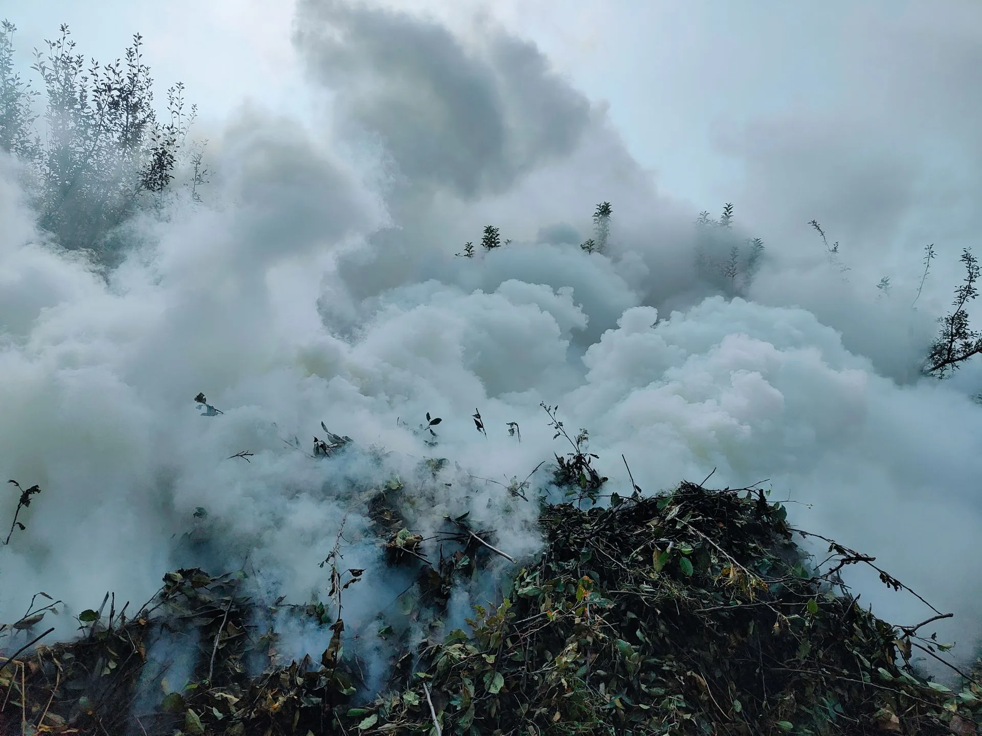 Thick smoke rising against a hazy sky.