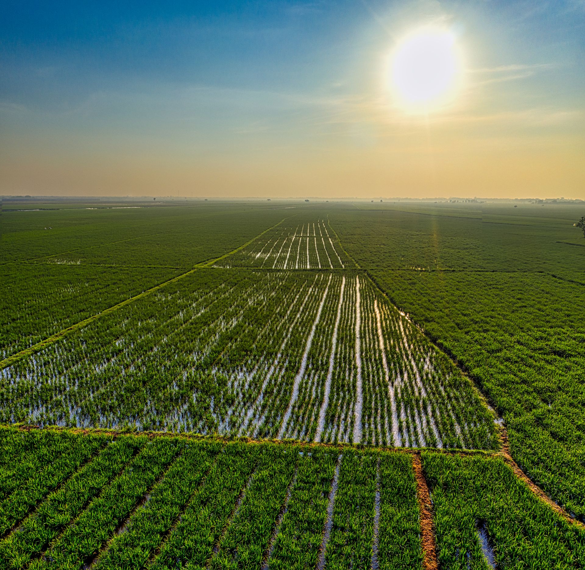 Agricultural fields extending across a rural landscape in evening sunlight.