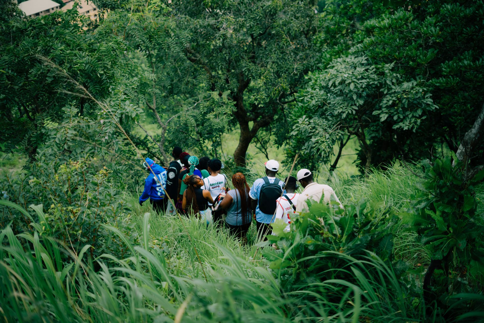 A group walking along a path through dense green vegetation.