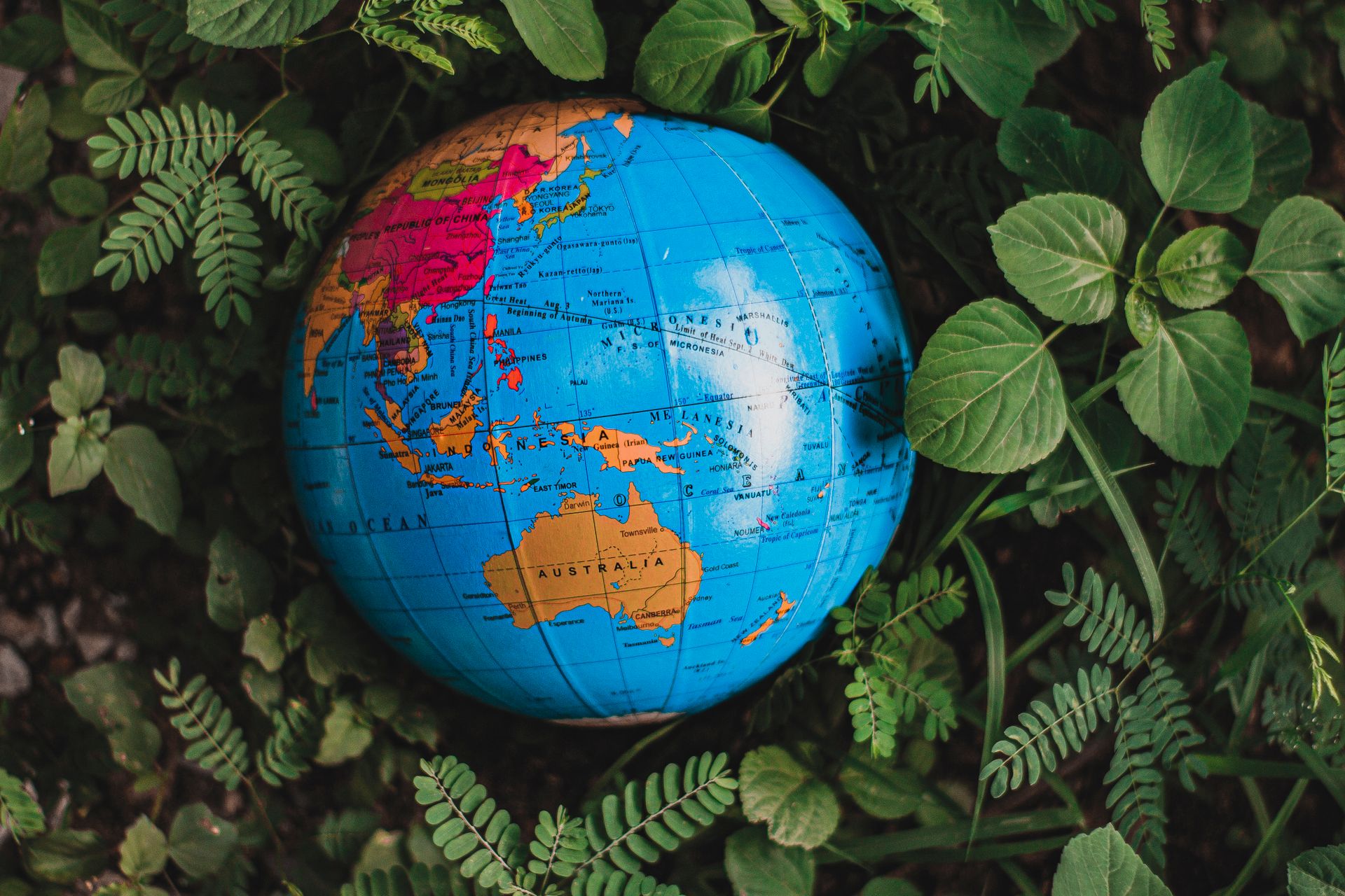 A globe resting among green leaves