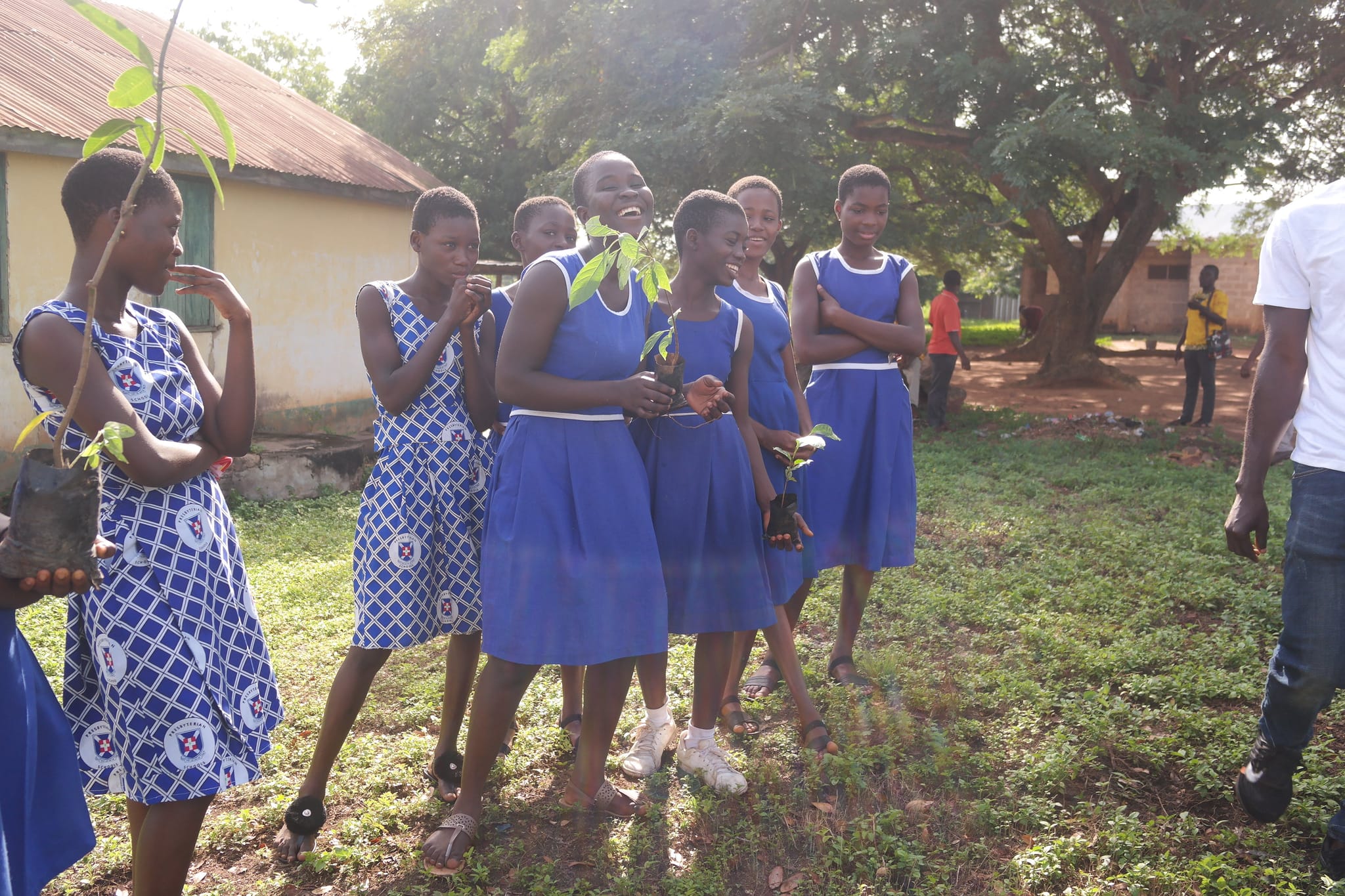 Pupils in blue dresses standing on school grounds holding tree seedlings, image 9 of 12