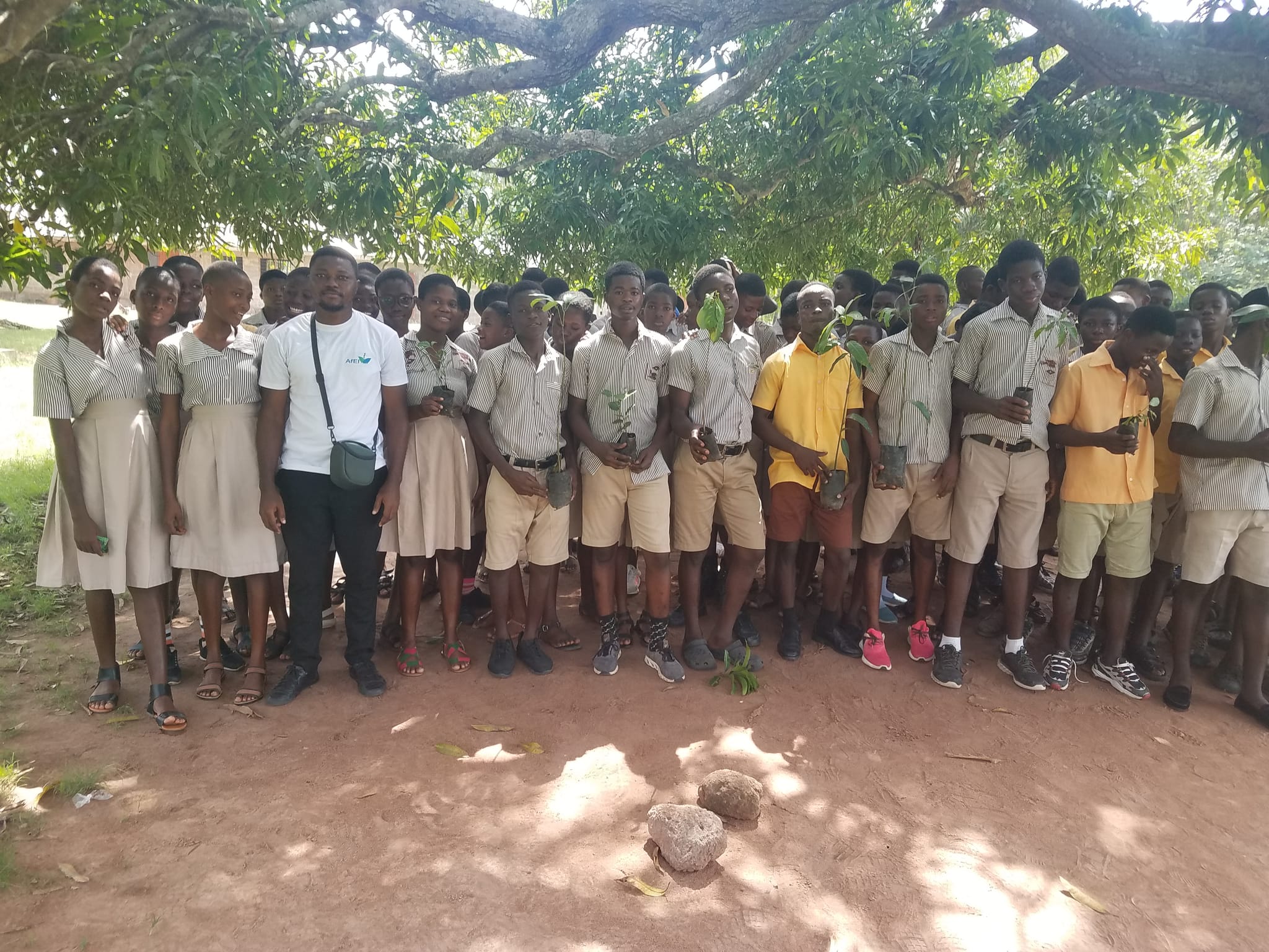 A large group of students in school uniform standing together under a tree, several holding seedlings, image 3 of 14