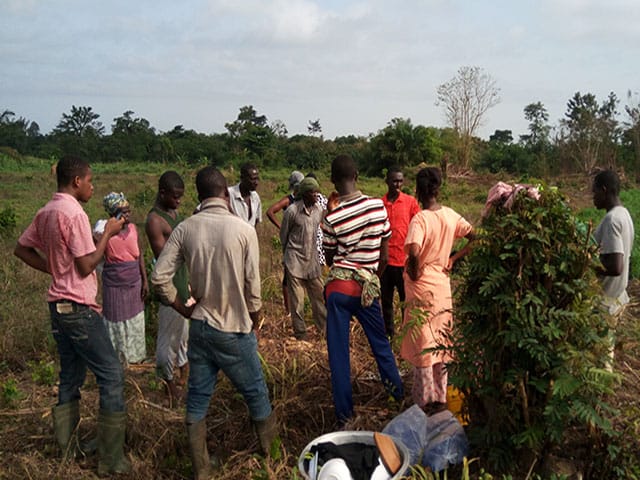 A group of people standing in a field beside a leafy shrub, image 4 of 5