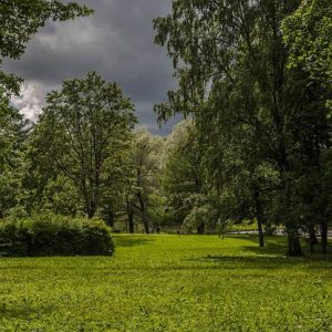 Environmental benefits of green space