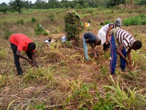 Youth for Water and Climate
