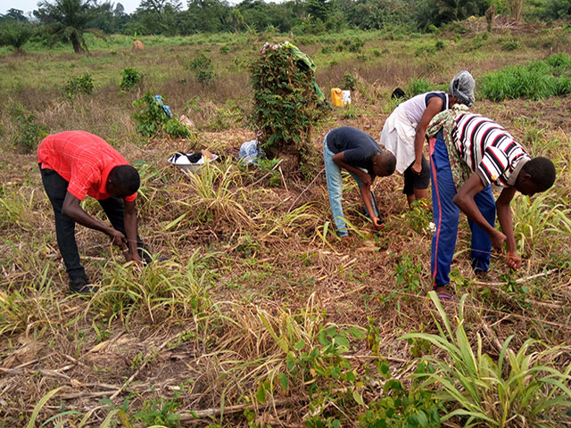 y4wcp4 Youth for Water and Climate